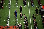 DSC_6646.JPG