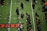 DSC_6650.JPG